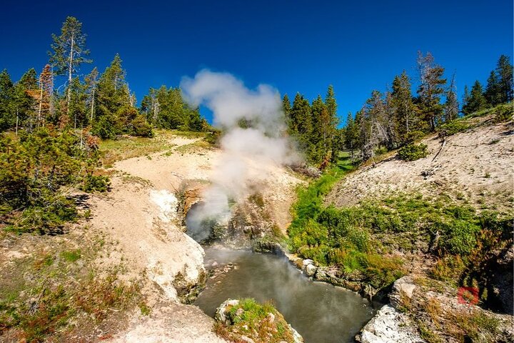 Självguidad ljudkörtur i Yellowstone och Grand Teton