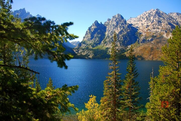 Självguidad ljudkörtur i Yellowstone och Grand Teton