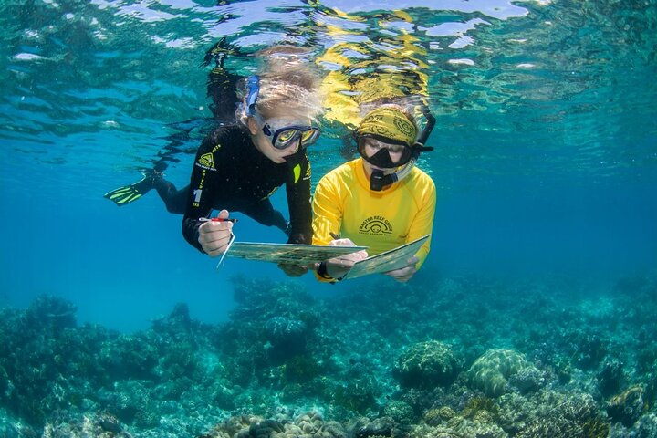 Passioni del Paradiso Grande Barriera Corallina Crociera in Catamarano