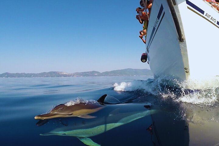 Kos : Ganztägige Segelbootfahrt in kleiner Gruppe, Mahlzeiten, Getränke und Schwimmen