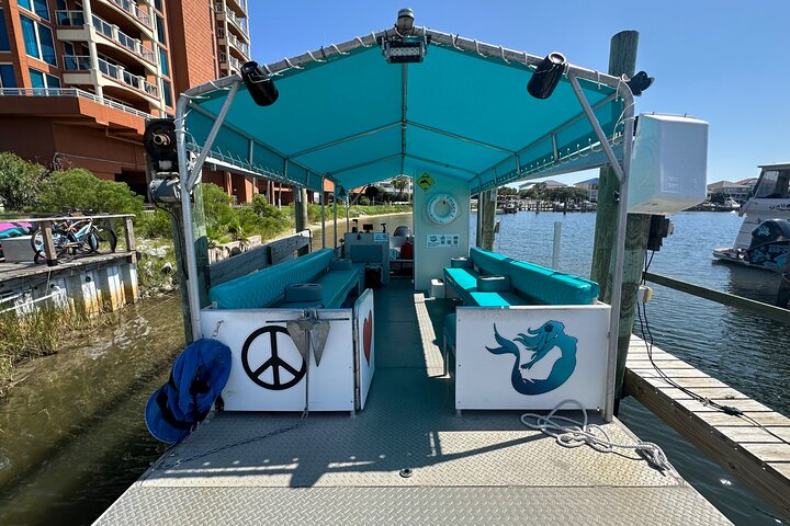 Frisky Meerjungfrau Delfin + Sightseeing Kreuzfahrt in Pensacola Beach