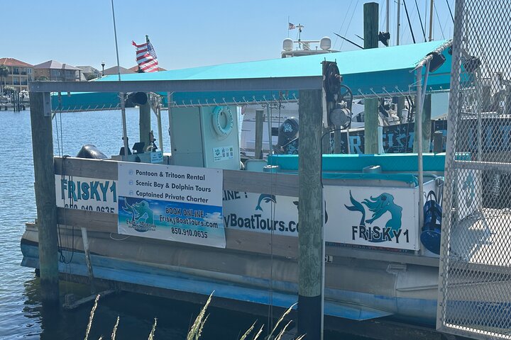Frisky Meerjungfrau Delfin + Sightseeing Kreuzfahrt in Pensacola Beach