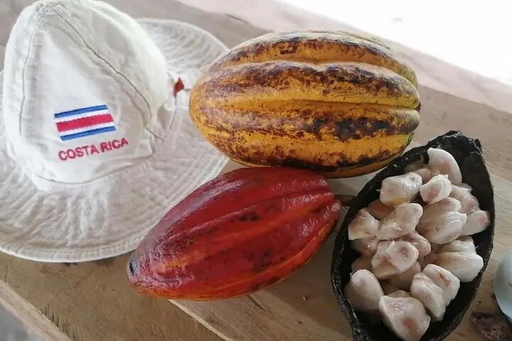 KULTURREJSE: Kaffe- og chokoladetur + Dølvtur + Vandfald