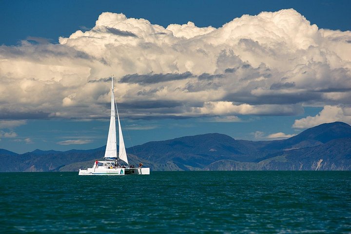 Une journée d'aventure à la voile dans le parc national d'Abel Tasman