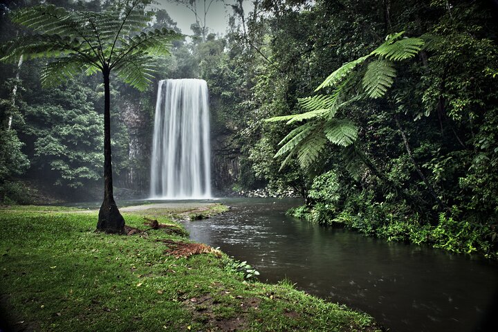 Ganztägige Tour durch die Atherton Tablelands mit Verkostung von Speisen