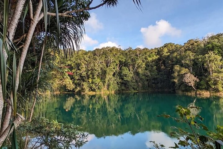 Ganztägige Tour durch die Atherton Tablelands mit Verkostung von Speisen
