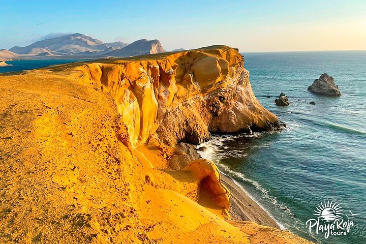 4 timers GOLDEN SHADOWS TREK i Paracas National Reserve