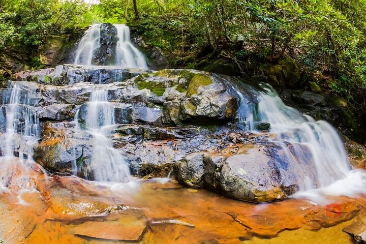 Selbstgeführte Audio-Autotour in den Great Smoky Mountains