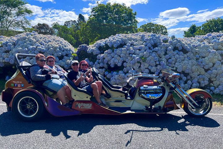 TAURANGA SHORE EXCURSION : V8 TRIKE - 1,5 timers by eller naturskjønne tur