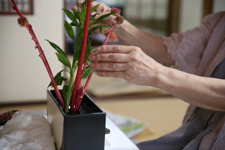 Besonderes Ikebana-Erlebnis unter der Leitung einer Ikebana-Meisterin, Frau Inao