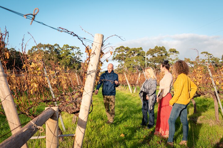 Margaret River Vino curado para grupos pequeños, café, almuerzo y bosque