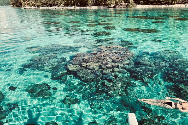 Tour de safari por la laguna de día completo con almuerzo en Bora Bora - Tour compartido