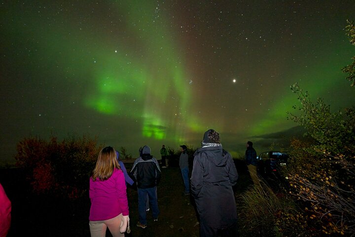 Aurore boréale - Aurore avec photos GRATUITES - Arctic Night Tours