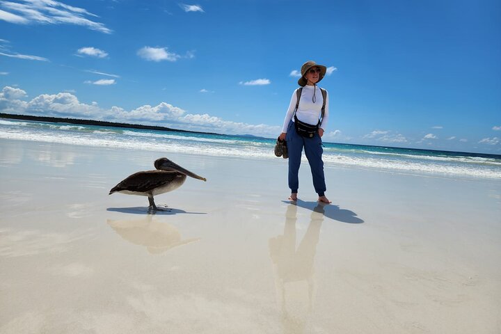 Beach Wildlife and Snorkel Adventure med undervattensspecialist