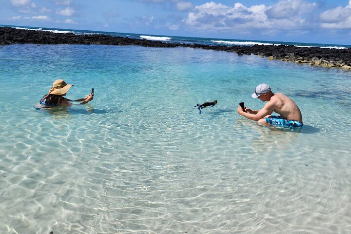 Beach Wildlife and Snorkel Adventure med undervattensspecialist