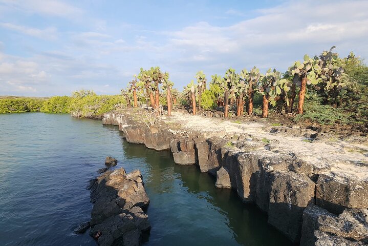 Beach Wildlife and Snorkel Adventure med undervattensspecialist