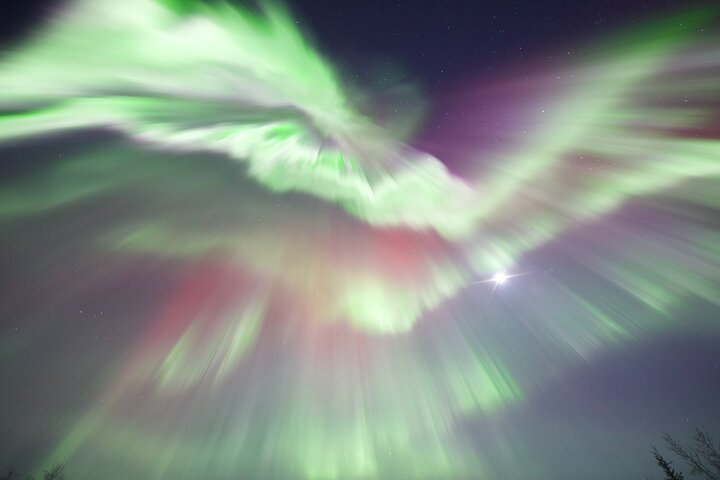 1-daagse gedeelde tour Poolcirkel en Aurora bekijken in Alaska