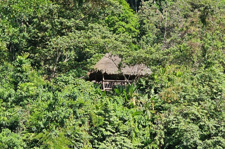 Amazon Jungle & Baños Adventure City: 4 dias de natureza e vida selvagem