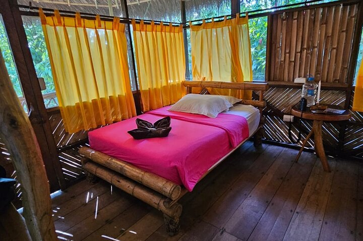 Amazon Jungle & Baños Adventure City: 4 dias de natureza e vida selvagem