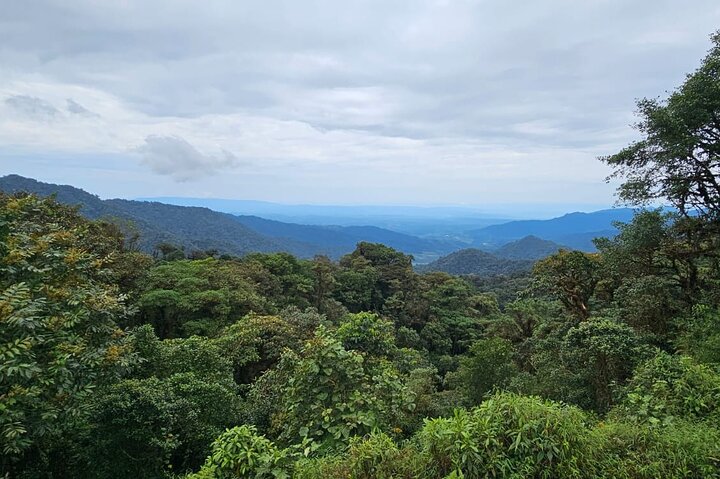 Amazon Jungle & Baños Adventure City: 4 dias de natureza e vida selvagem