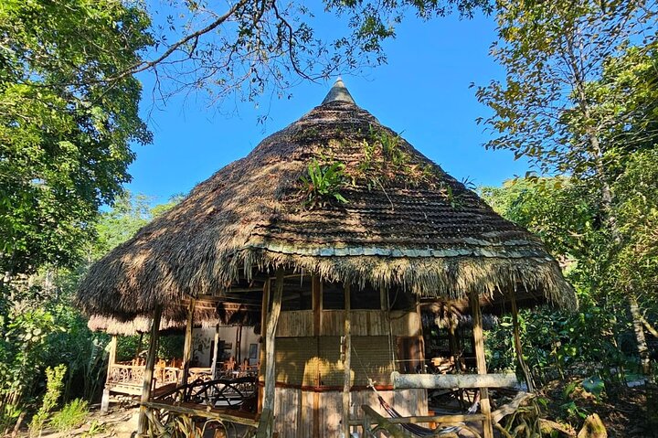 Amazon Jungle & Baños Adventure City: 4 dias de natureza e vida selvagem