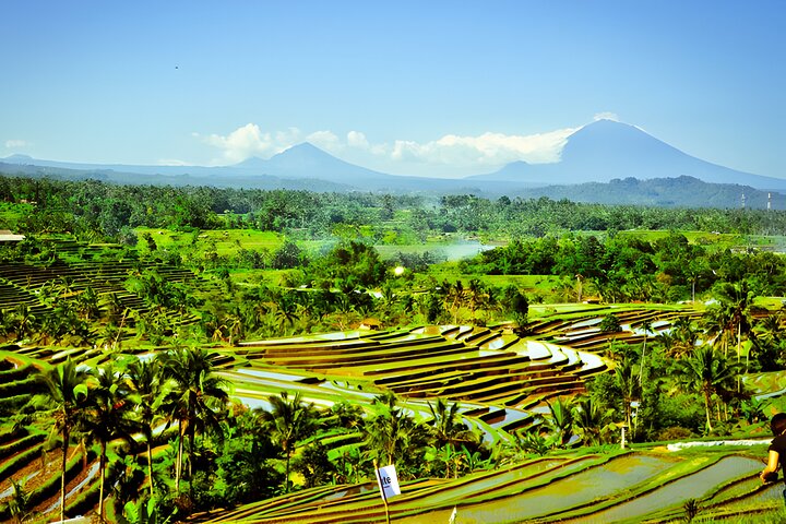 Tour privado de día completo: descubra lo mejor del destino de Bali