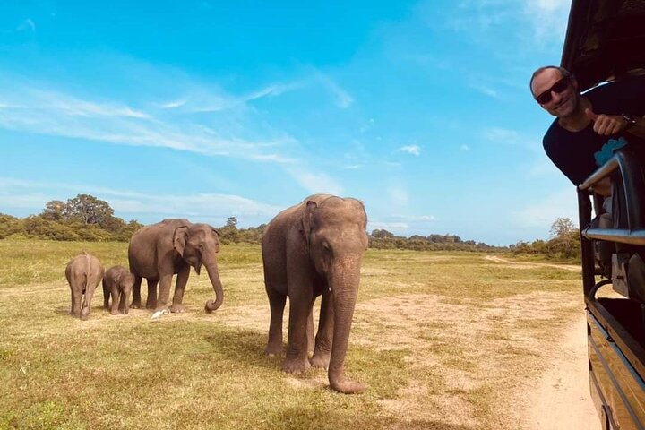 Udawalawe National Park Halvdags Jeep Safari (privat tur)