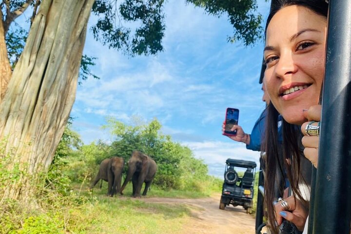 Udawalawe National Park Halvdags Jeep Safari (privat tur)