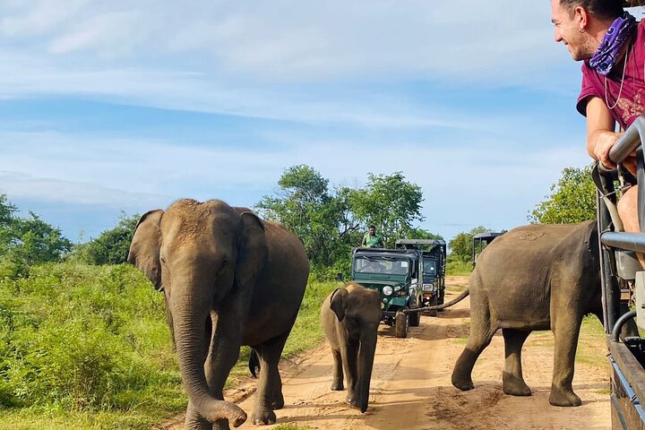 Udawalawe National Park Halvdags Jeep Safari (privat tur)