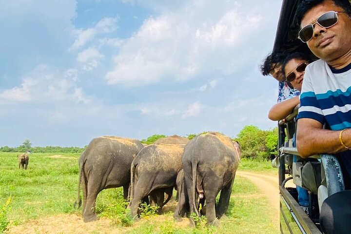 Udawalawe National Park Halvdags Jeep Safari (privat tur)