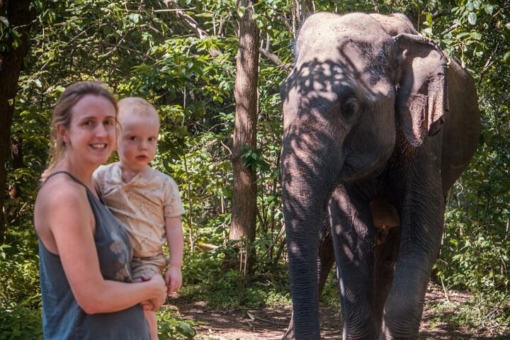 Udawalawe National Park Halvdags Jeep Safari (privat tur)