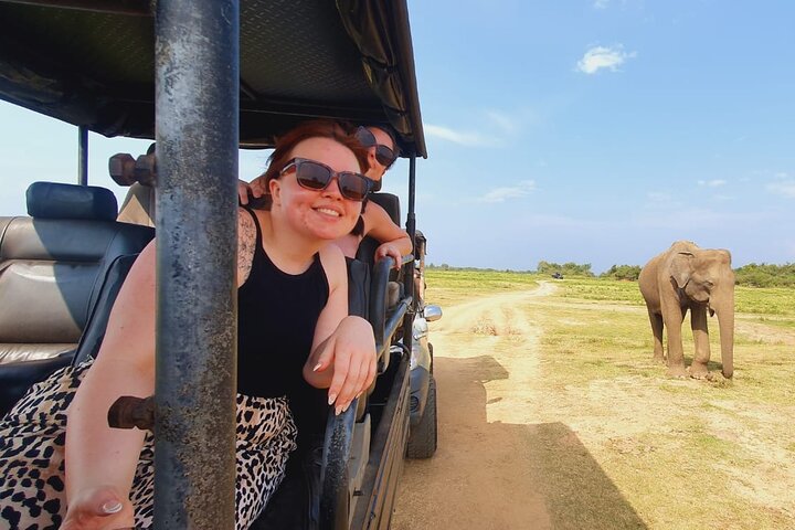 Udawalawe National Park Halvdags Jeep Safari (privat tur)