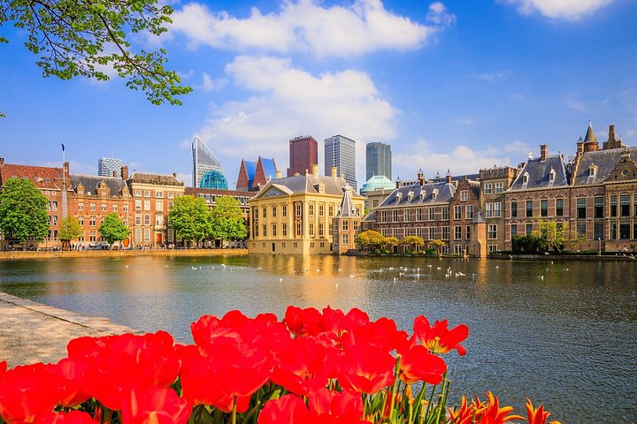Tour privato di un'intera giornata all'Aia dal porto crocieristico di Amsterdam