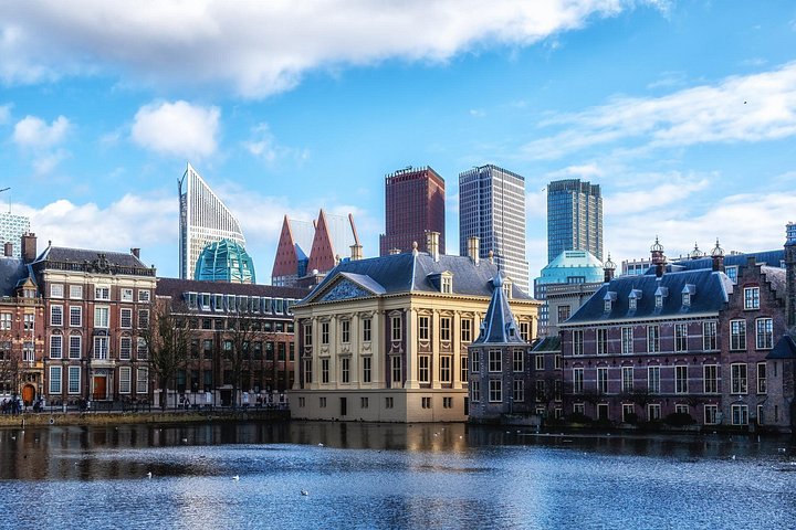 Tour privato di un'intera giornata all'Aia dal porto crocieristico di Amsterdam