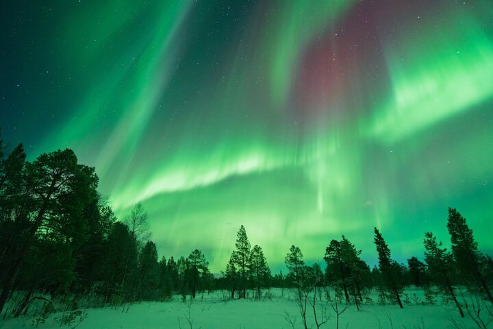 Caccia all'aurora boreale con The Green Adventure - foto incluse