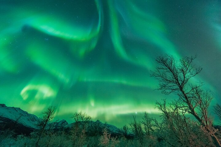 Caccia all'aurora boreale con The Green Adventure - foto incluse