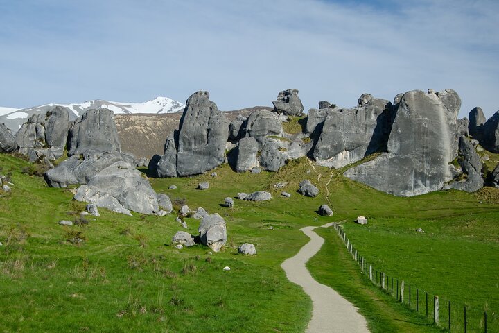 Excursies van Christchurch naar Arthur's Pass + TranzAlpine trein & lunch