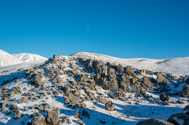 Excursies van Christchurch naar Arthur's Pass + TranzAlpine trein & lunch