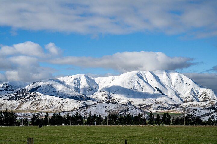 Excursies van Christchurch naar Arthur's Pass + TranzAlpine trein & lunch