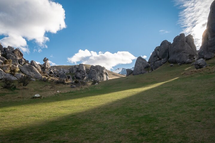 Excursies van Christchurch naar Arthur's Pass + TranzAlpine trein & lunch