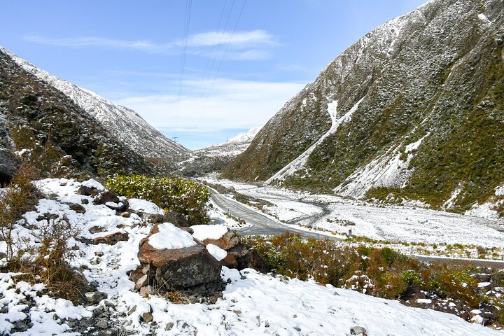Excursies van Christchurch naar Arthur's Pass + TranzAlpine trein & lunch