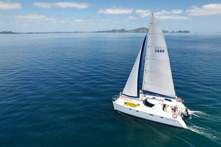 Day Sailing Cruise in Bay of Islands with Lunch & Island Stop