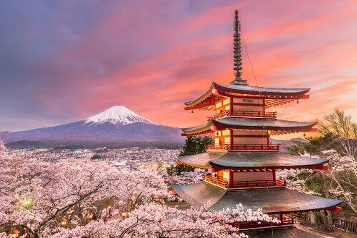 Visite privée d'une journée complète au mont Fuji avec chauffeur anglais
