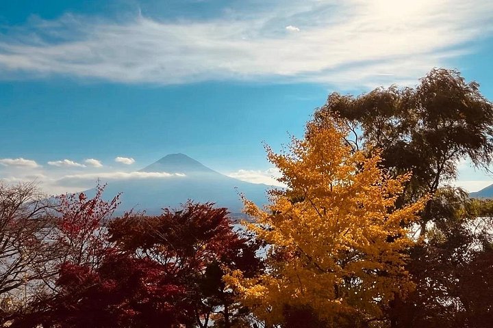 Visite privée d'une journée complète au mont Fuji avec chauffeur anglais