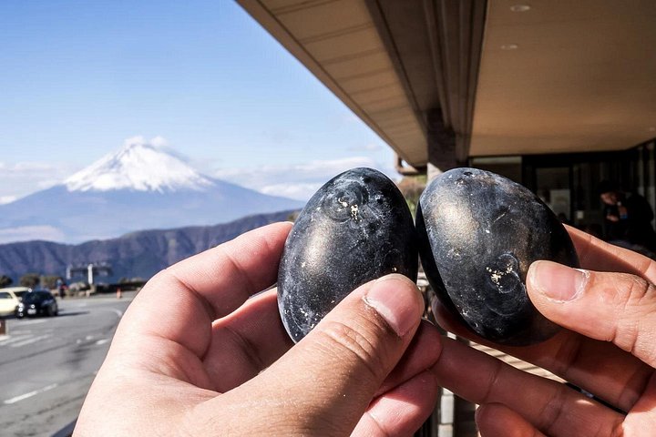 Visite privée d'une journée complète au mont Fuji avec chauffeur anglais