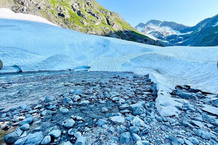 Tour avventuroso con vista sul ghiacciaio e fauna selvatica di Anchorage