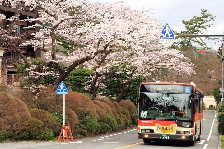 Hakone Free Pass, 2-3 dagars resekupong Japan