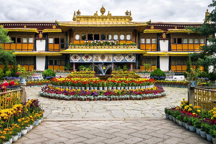 Tour guidato privato di Dharamshala con vista panoramica e pranzo