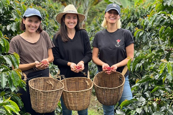 Kaffe- og jeep-tur på Finca Mariposa i Jardin