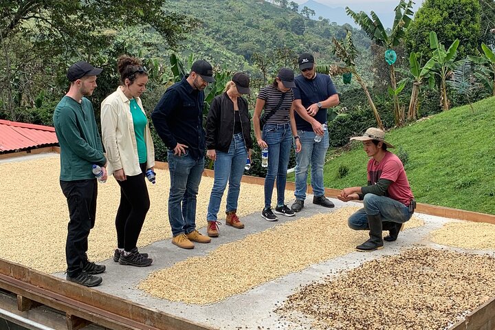 Kaffe- og jeep-tur på Finca Mariposa i Jardin